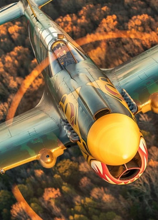 Warbirds