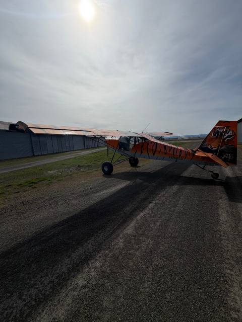 2015 Just Aircraft SuperSTOL photo 8