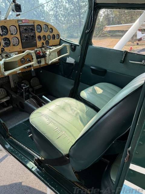 Cessna 180 Skywagon photo 5