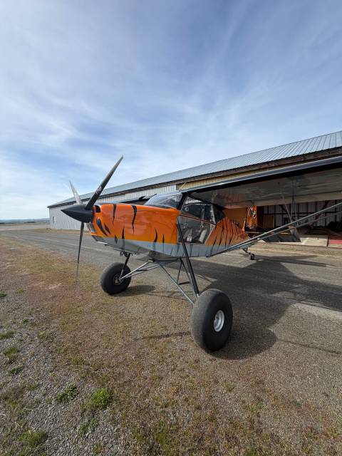 2015 Just Aircraft SuperSTOL photo 10