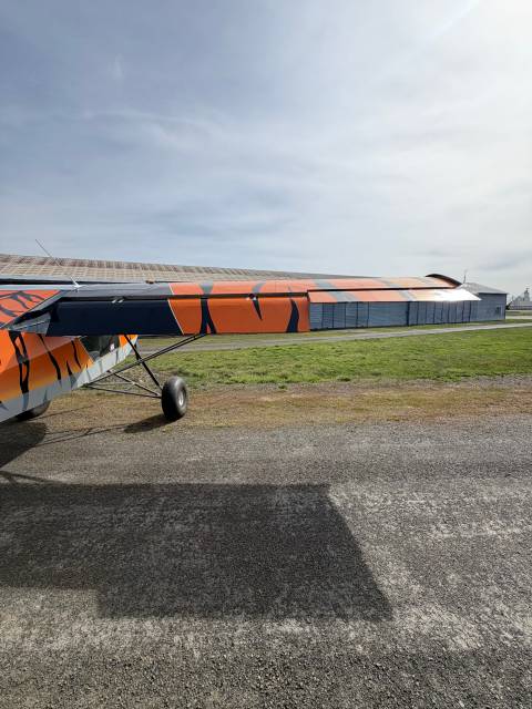 2015 Just Aircraft SuperSTOL photo 18