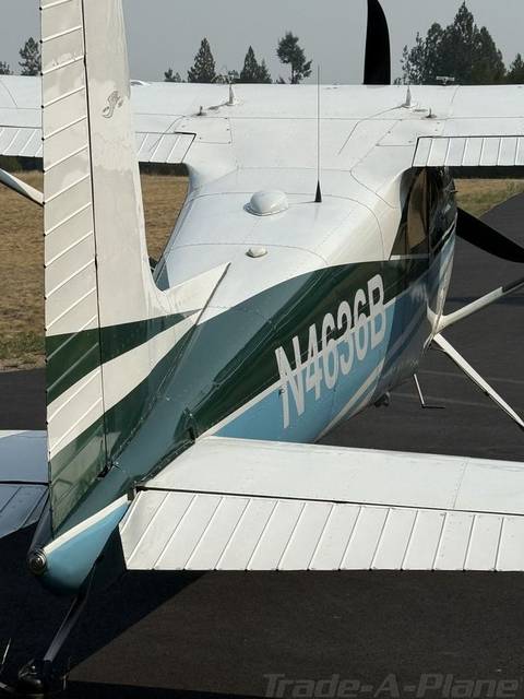 Cessna 180 Skywagon photo 6