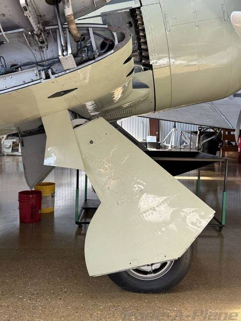 1947 Hawker Sea Fury FB.Mk 11 photo 4