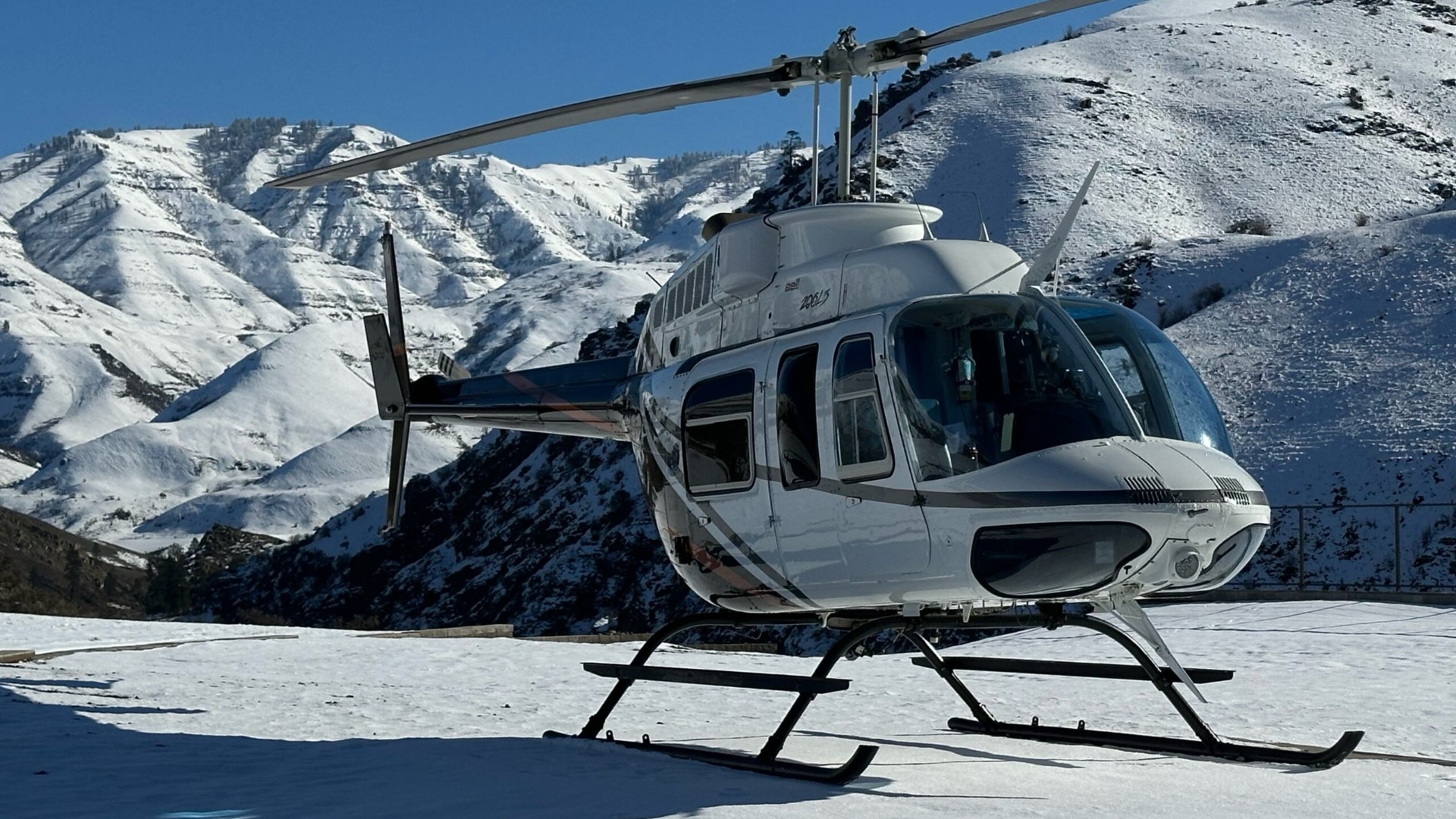 1982 Bell 206L3