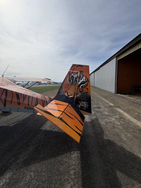2015 Just Aircraft SuperSTOL photo 7
